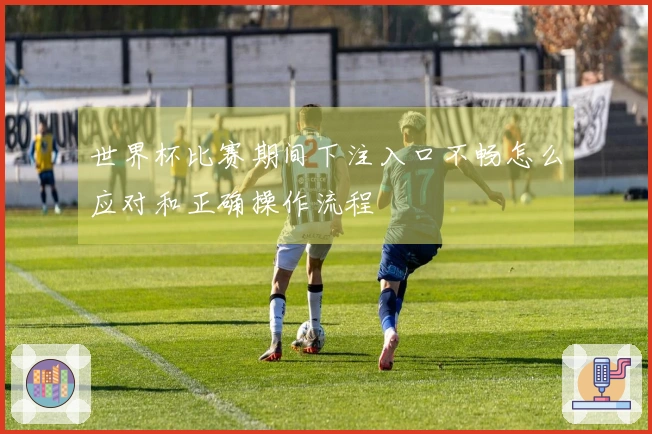世界杯比赛期间下注入口不畅怎么应对和正确操作流程